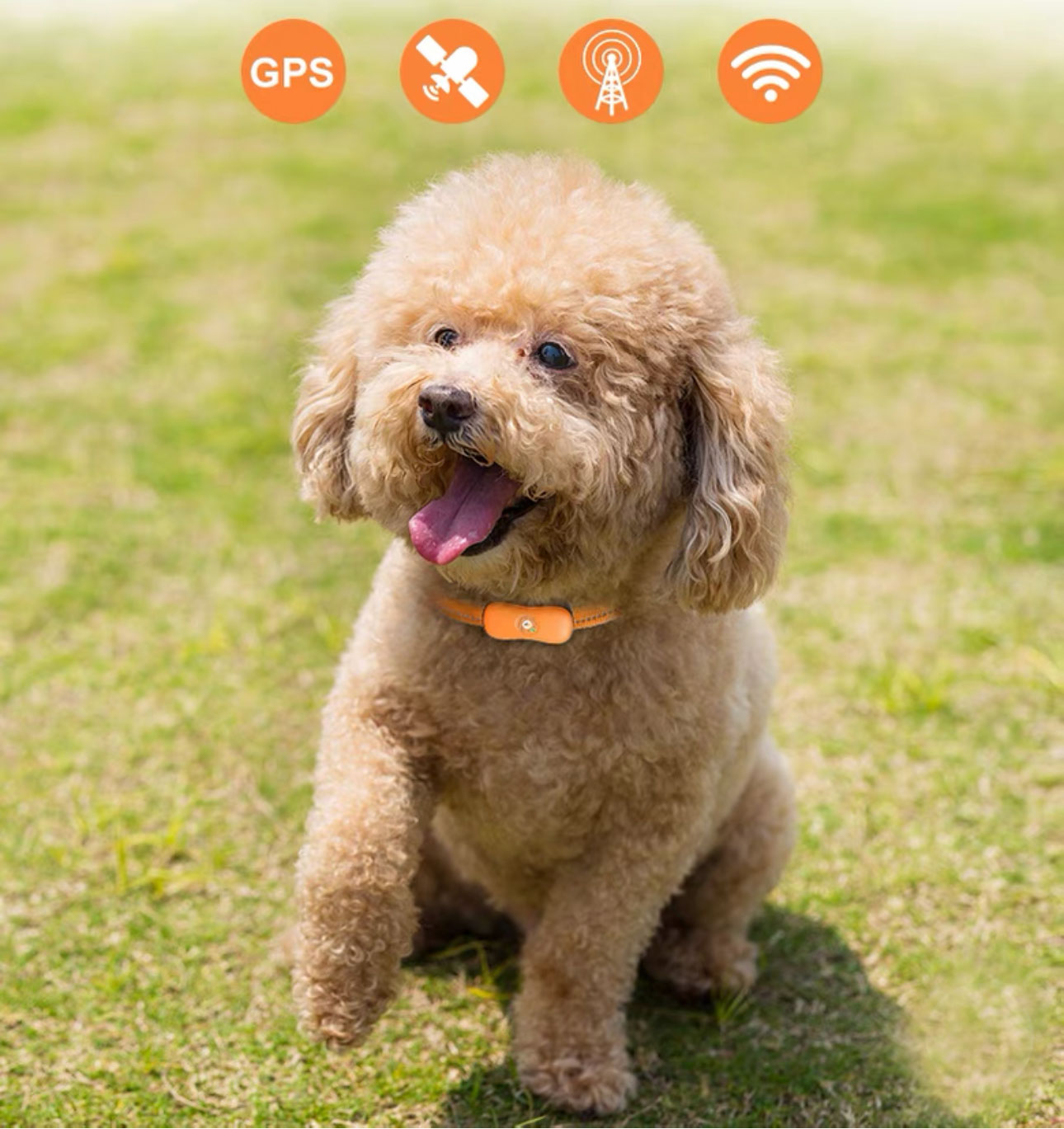 Waterproof Pet Positioning Tracker